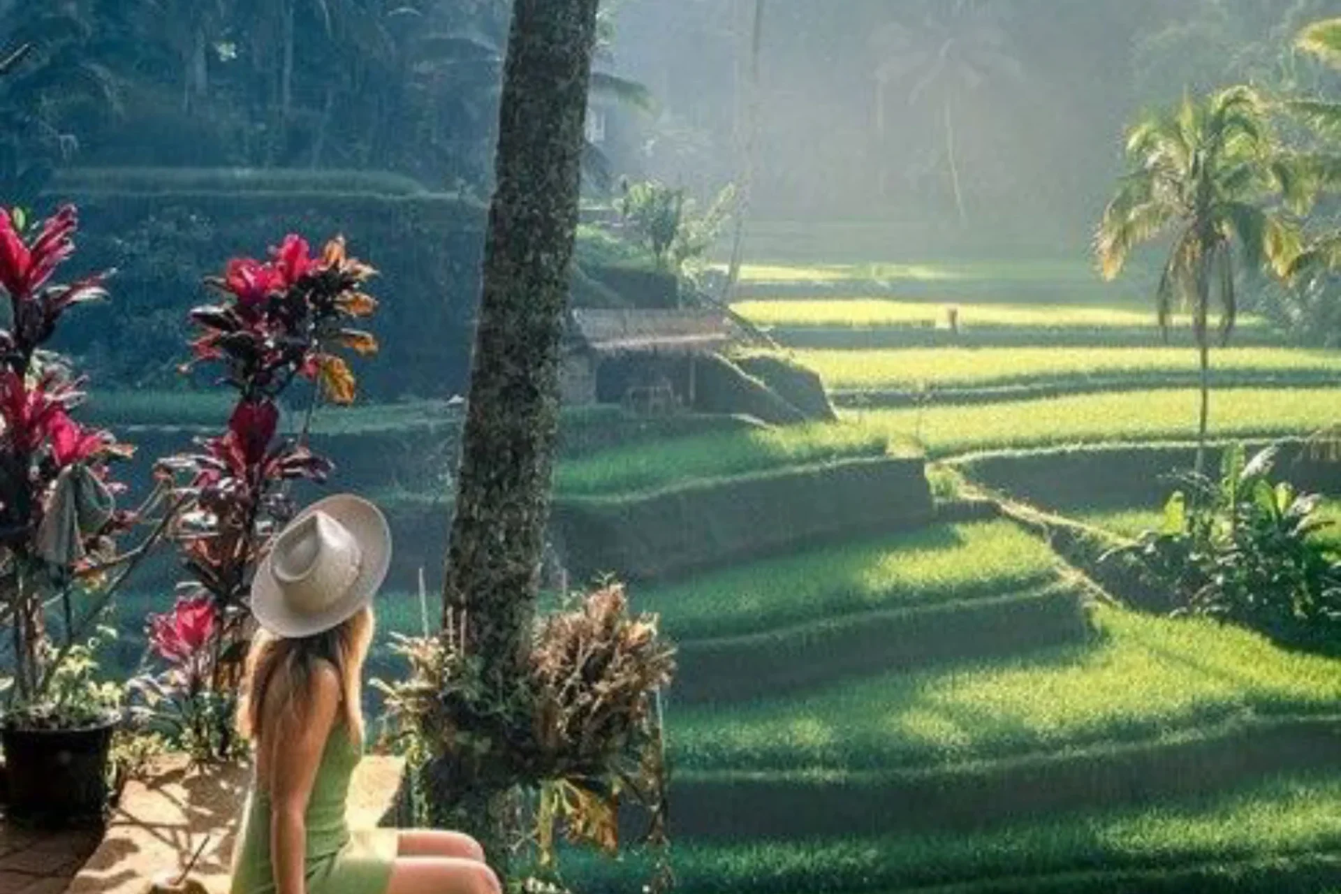 Tegalalang Rice Terraces, Ubud, Bali